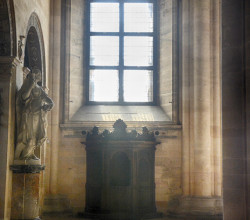 certosa di pavia (6)