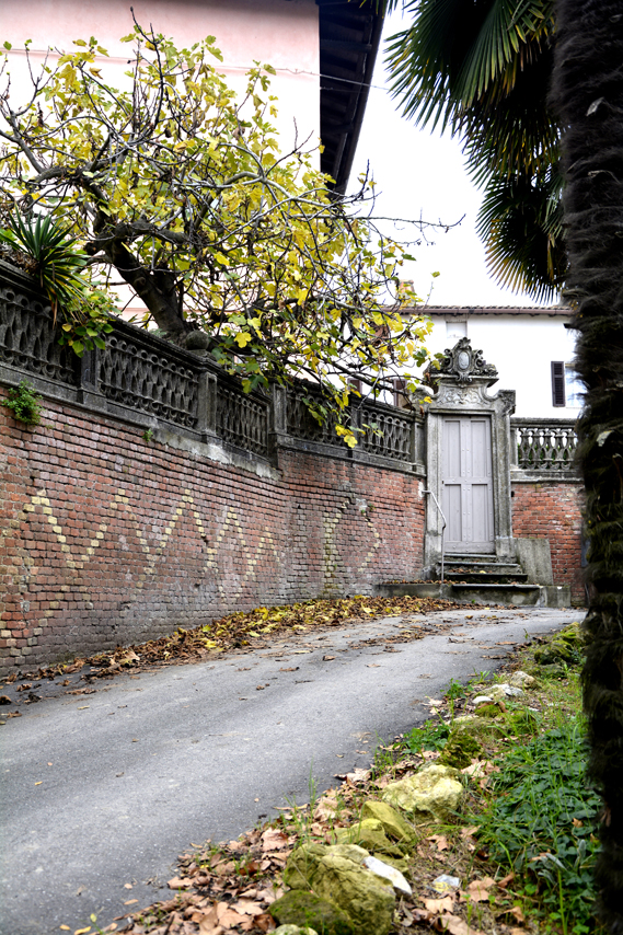 moleto (28)