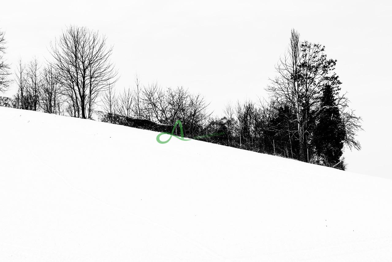neve (15)