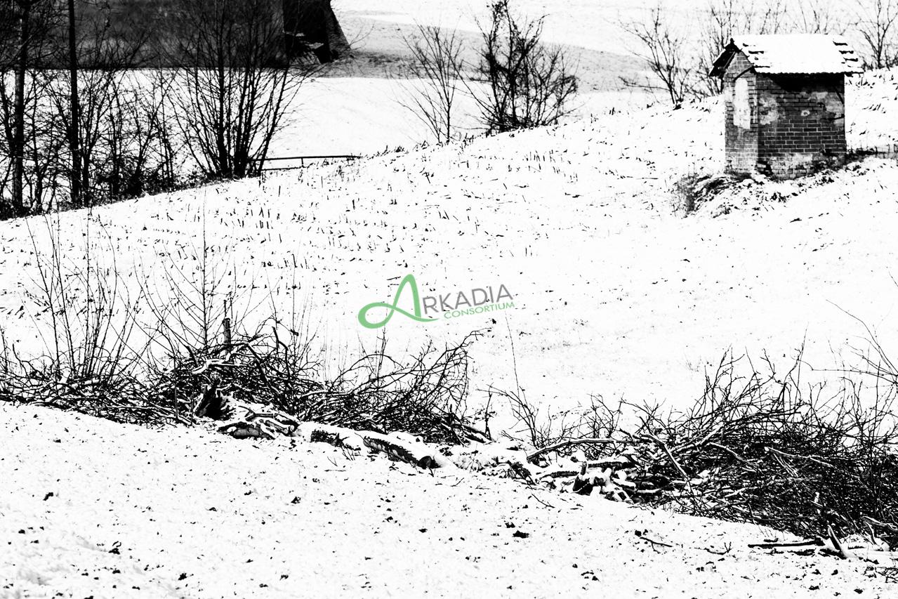 neve (21)