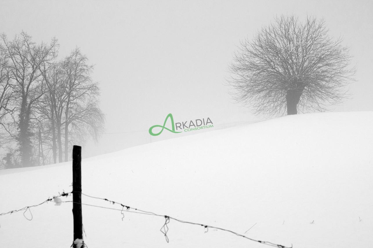 neve (4)