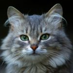 Profile picture of claudia19