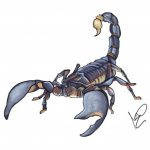 Foto del profilo di scorpione19