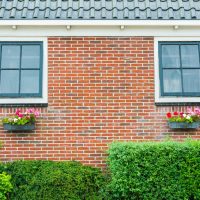 amsterdam e paesi bassi (34) 