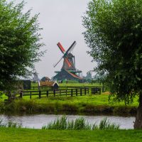 amsterdam e paesi bassi (39) 