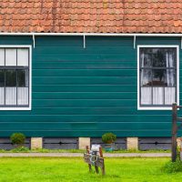 amsterdam e paesi bassi (40) 