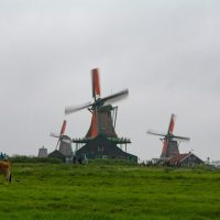 amsterdam e paesi bassi (41) 