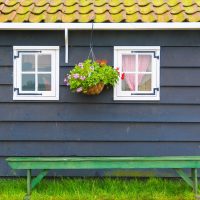 amsterdam e paesi bassi (42) 