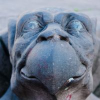 amsterdam e paesi bassi (52) 