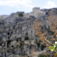 matera (38) 