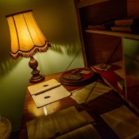 una sera a casa di fausto (20) 