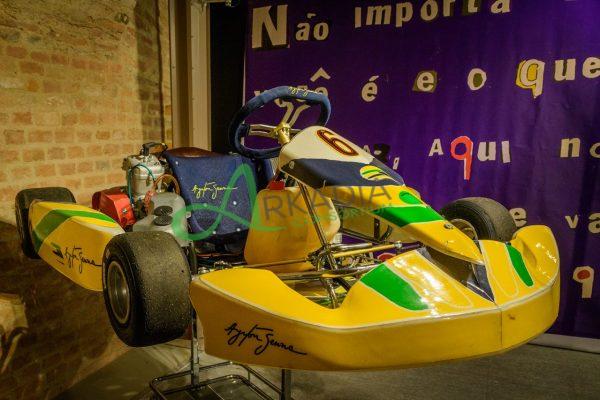 mostra senna (10)