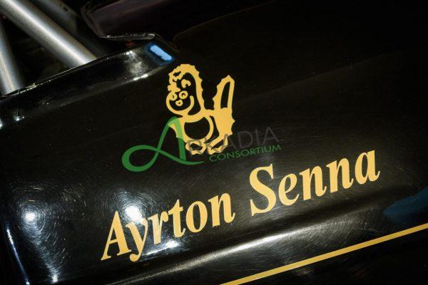 mostra senna (31)