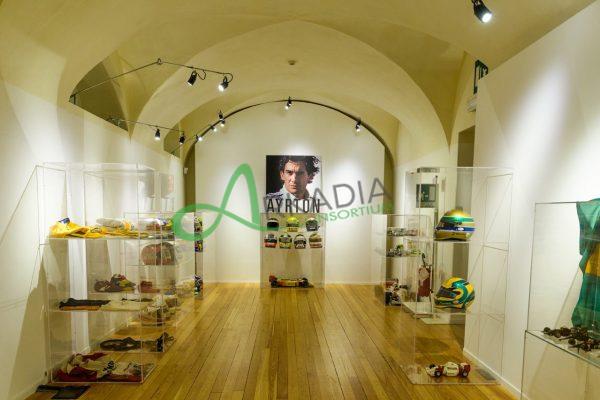 mostra senna (32)