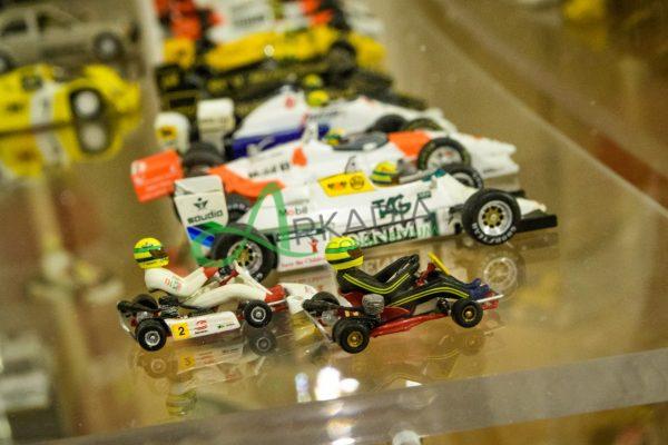 mostra senna (35)