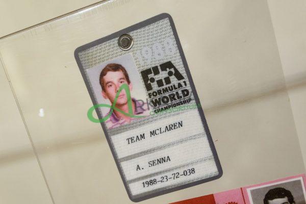 mostra senna (4)