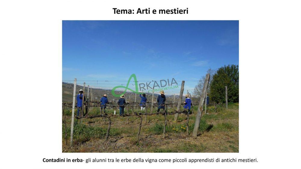 10-s-marzano-oliveto-4_Page_07