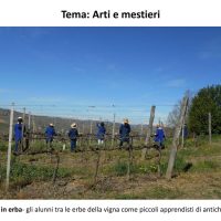 10-s-marzano-oliveto-4_Page_07 